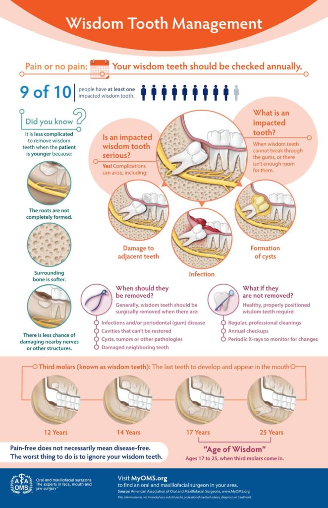 wisdom teeth infographic